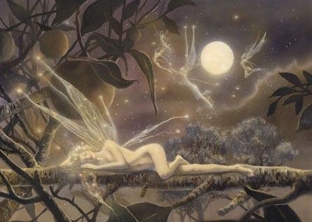 Donna .. fata ... e la luna  (39)