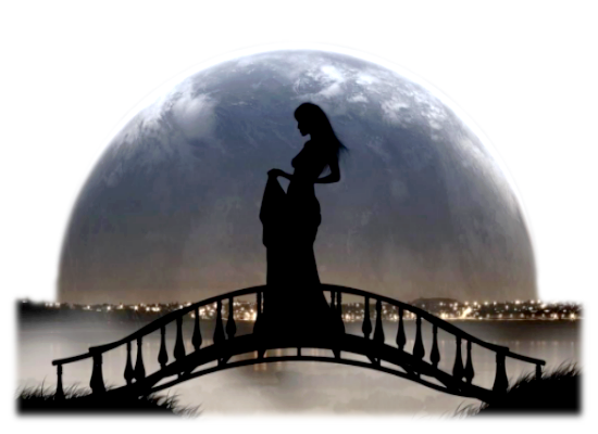 Donna .. fata ... e la luna  (42)