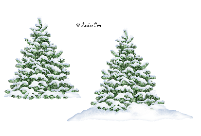 VWinterTrees2.png