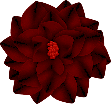 fiori rossi (109)
