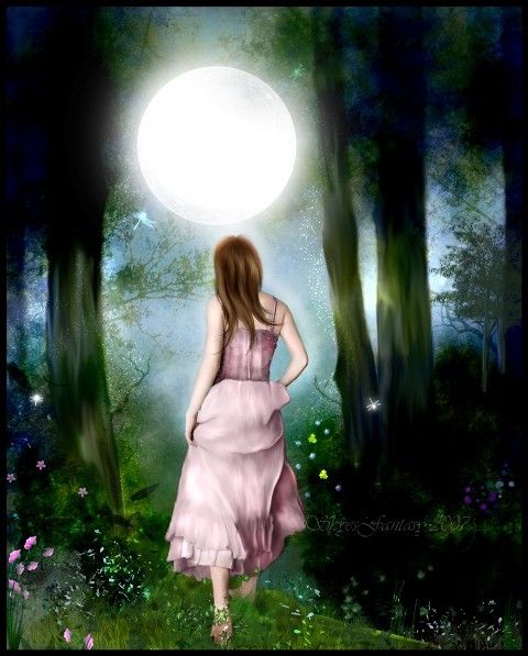 Donna .. fata ... e la luna  (40)