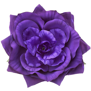 violet-88